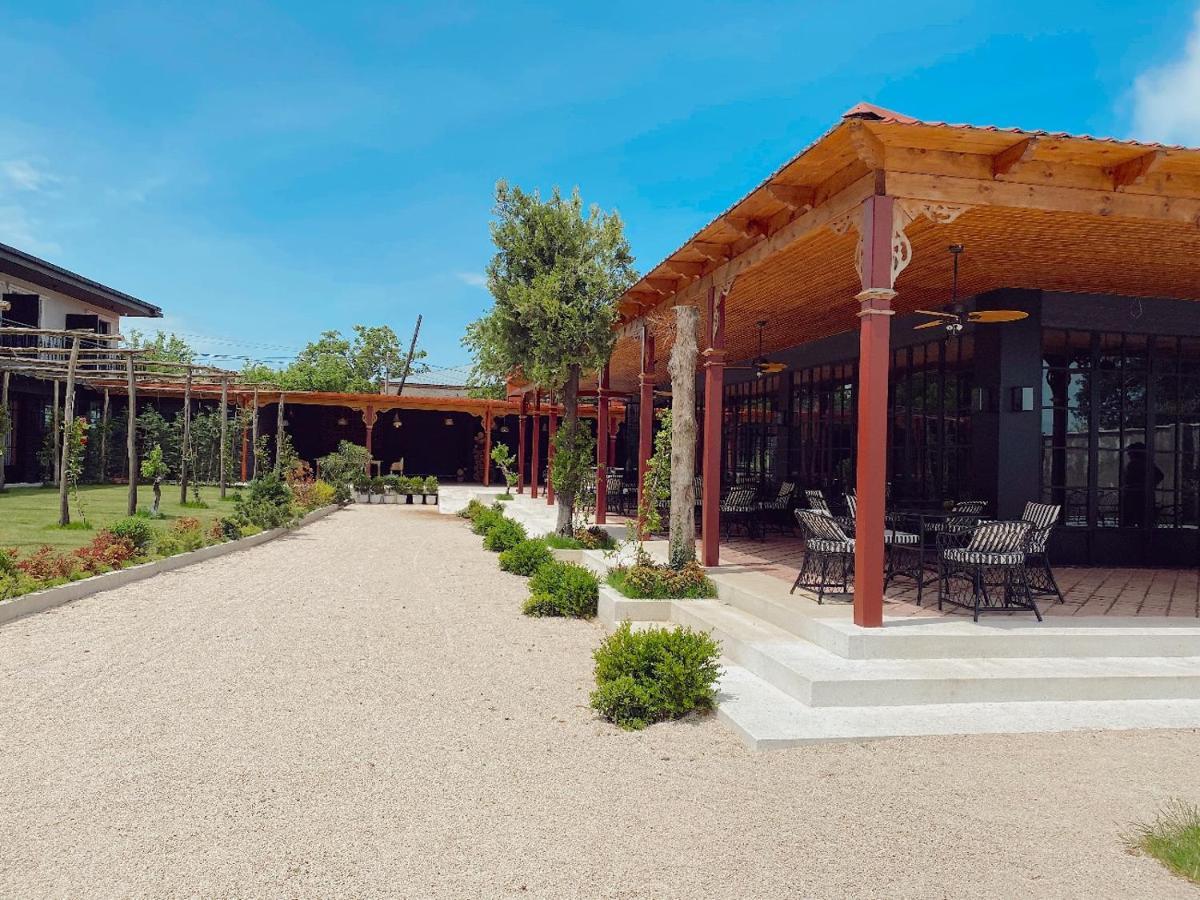 Esquisse Design Hotel Telawi Zewnętrze zdjęcie